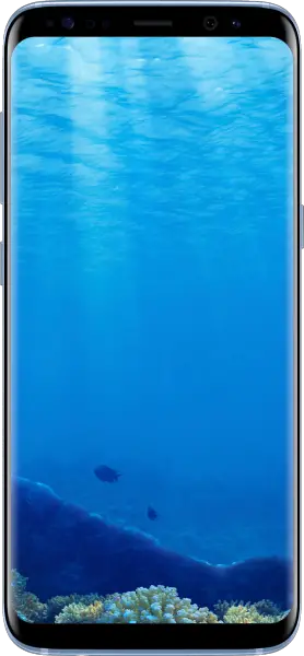 Samsung Galaxy S8 (Dual)